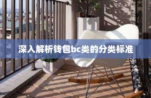 深入解析钱包bc类的分类标准