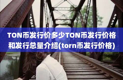 TON币发行价多少TON币发行价格和发行总量介绍(torn币发行价格)