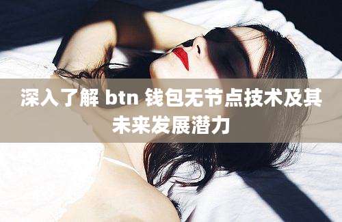 深入了解 btn 钱包无节点技术及其未来发展潜力