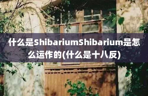 什么是ShibariumShibarium是怎么运作的(什么是十八反)