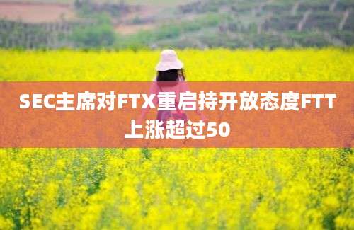 SEC主席对FTX重启持开放态度FTT上涨超过50