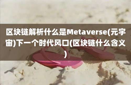 区块链解析什么是Metaverse(元宇宙)下一个时代风口(区块链什么含义)