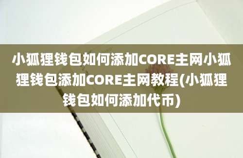 小狐狸钱包如何添加CORE主网小狐狸钱包添加CORE主网教程(小狐狸钱包如何添加代币)