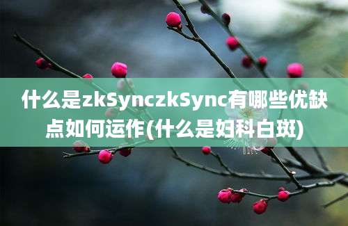 什么是zkSynczkSync有哪些优缺点如何运作(什么是妇科白斑)