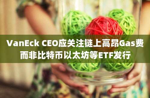 VanEck CEO应关注链上高昂Gas费而非比特币以太坊等ETF发行