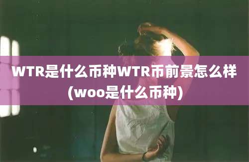 WTR是什么币种WTR币前景怎么样(woo是什么币种)