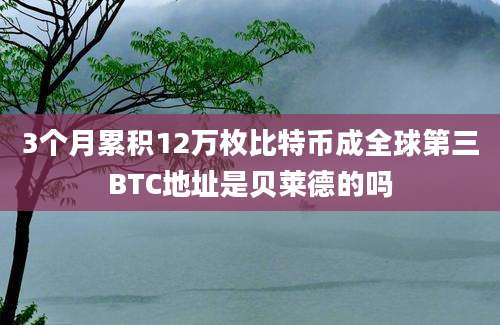 3个月累积12万枚比特币成全球第三BTC地址是贝莱德的吗