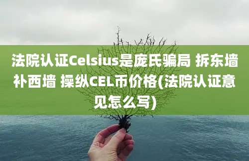 法院认证Celsius是庞氏骗局 拆东墙补西墙 操纵CEL币价格(法院认证意见怎么写)