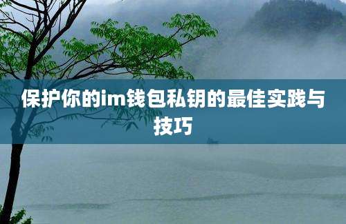 保护你的im钱包私钥的最佳实践与技巧