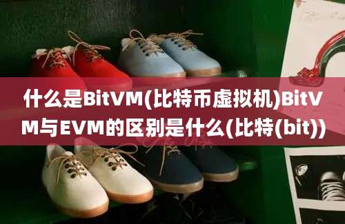 什么是BitVM(比特币虚拟机)BitVM与EVM的区别是什么(比特(bit))