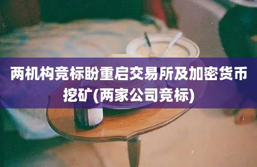 两机构竞标盼重启交易所及加密货币挖矿(两家公司竞标)