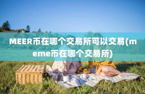 MEER币在哪个交易所可以交易(meme币在哪个交易所)