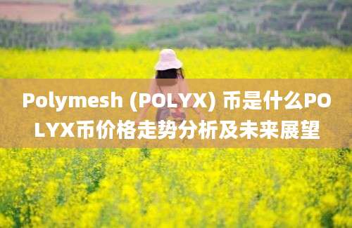 Polymesh (POLYX) 币是什么POLYX币价格走势分析及未来展望