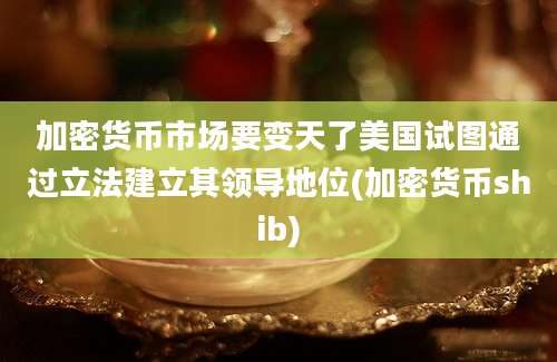 加密货币市场要变天了美国试图通过立法建立其领导地位(加密货币shib)