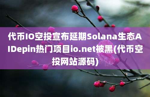 代币IO空投宣布延期Solana生态AIDepin热门项目io.net被黑(代币空投网站源码)