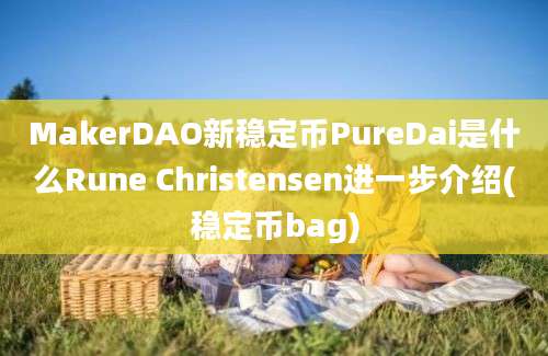 MakerDAO新稳定币PureDai是什么Rune Christensen进一步介绍(稳定币bag)