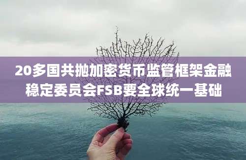 20多国共抛加密货币监管框架金融稳定委员会FSB要全球统一基础