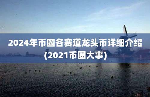 2024年币圈各赛道龙头币详细介绍(2021币圈大事)