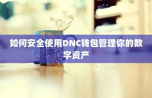 如何安全使用DNC钱包管理你的数字资产