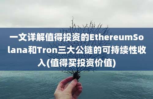 一文详解值得投资的EthereumSolana和Tron三大公链的可持续性收入(值得买投资价值)