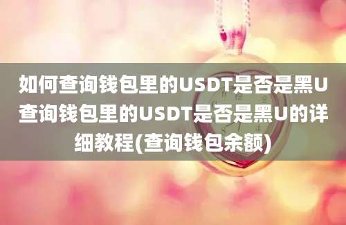 如何查询钱包里的USDT是否是黑U查询钱包里的USDT是否是黑U的详细教程(查询钱包余额)