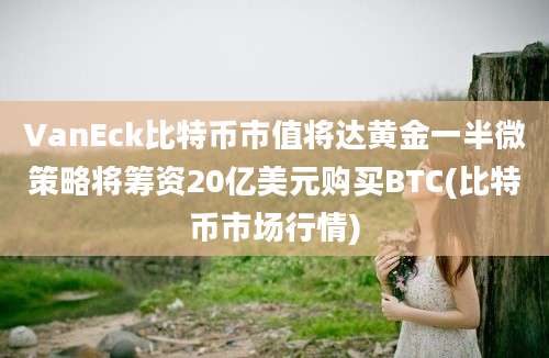 VanEck比特币市值将达黄金一半微策略将筹资20亿美元购买BTC(比特币市场行情)