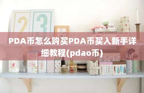 PDA币怎么购买PDA币买入新手详细教程(pdao币)