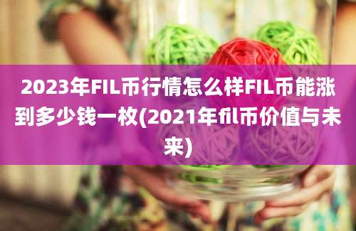 2023年FIL币行情怎么样FIL币能涨到多少钱一枚(2021年fil币价值与未来)