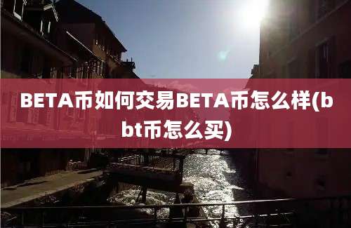 BETA币如何交易BETA币怎么样(bbt币怎么买)