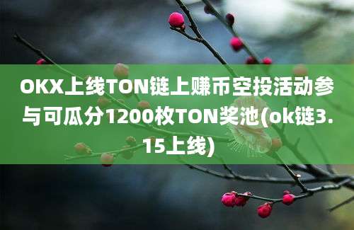 OKX上线TON链上赚币空投活动参与可瓜分1200枚TON奖池(ok链3.15上线)