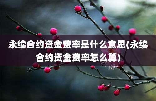 永续合约资金费率是什么意思(永续合约资金费率怎么算)