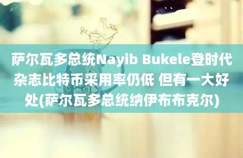 萨尔瓦多总统Nayib Bukele登时代杂志比特币采用率仍低 但有一大好处(萨尔瓦多总统纳伊布布克尔)