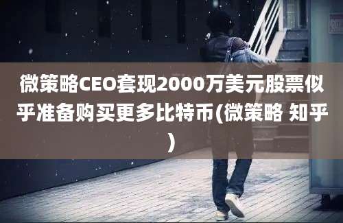 微策略CEO套现2000万美元股票似乎准备购买更多比特币(微策略 知乎)