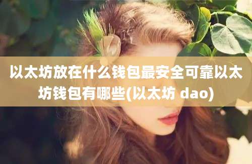 以太坊放在什么钱包最安全可靠以太坊钱包有哪些(以太坊 dao)