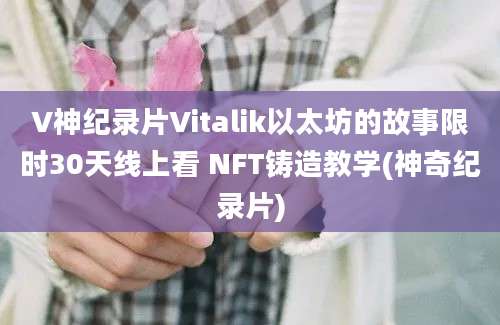 V神纪录片Vitalik以太坊的故事限时30天线上看 NFT铸造教学(神奇纪录片)