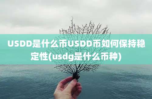 USDD是什么币USDD币如何保持稳定性(usdg是什么币种)