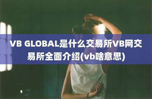 VB GLOBAL是什么交易所VB网交易所全面介绍(vb啥意思)