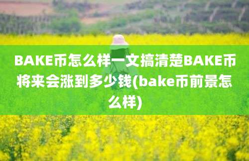 BAKE币怎么样一文搞清楚BAKE币将来会涨到多少钱(bake币前景怎么样)