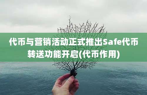 代币与营销活动正式推出Safe代币转送功能开启(代币作用)