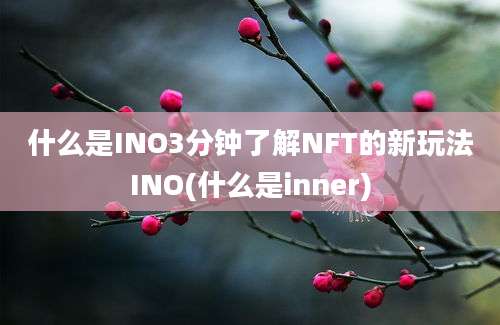 什么是INO3分钟了解NFT的新玩法INO(什么是inner)