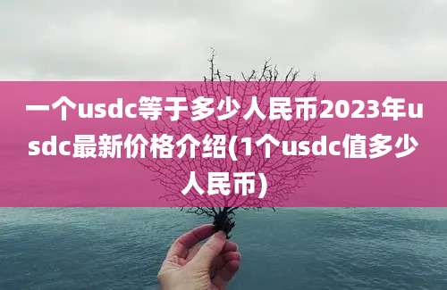 一个usdc等于多少人民币2023年usdc最新价格介绍(1个usdc值多少人民币)