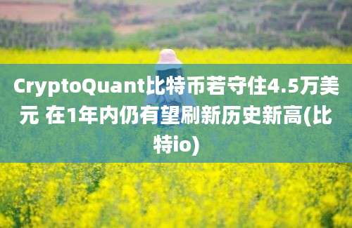 CryptoQuant比特币若守住4.5万美元 在1年内仍有望刷新历史新高(比特io)