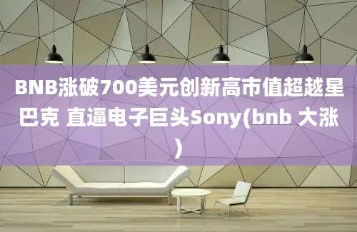 BNB涨破700美元创新高市值超越星巴克 直逼电子巨头Sony(bnb 大涨)