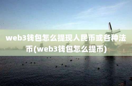 web3钱包怎么提现人民币或各种法币(web3钱包怎么提币)