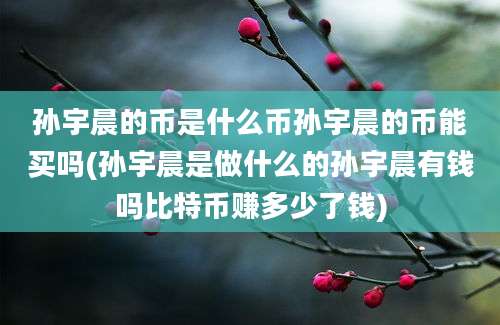 孙宇晨的币是什么币孙宇晨的币能买吗(孙宇晨是做什么的孙宇晨有钱吗比特币赚多少了钱)