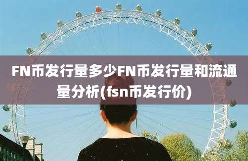 FN币发行量多少FN币发行量和流通量分析(fsn币发行价)