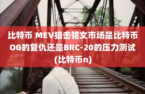 比特币 MEV狙击铭文市场是比特币OG的复仇还是BRC-20的压力测试(比特币n)