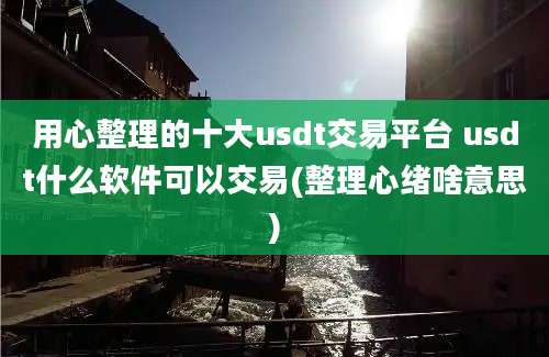 用心整理的十大usdt交易平台 usdt什么软件可以交易(整理心绪啥意思)