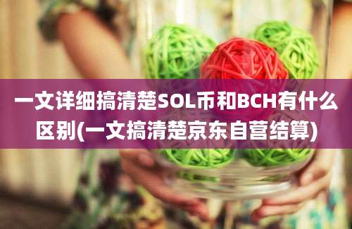 一文详细搞清楚SOL币和BCH有什么区别(一文搞清楚京东自营结算)