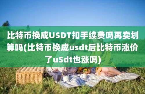 比特币换成USDT扣手续费吗再卖划算吗(比特币换成usdt后比特币涨价了uSdt也涨吗)